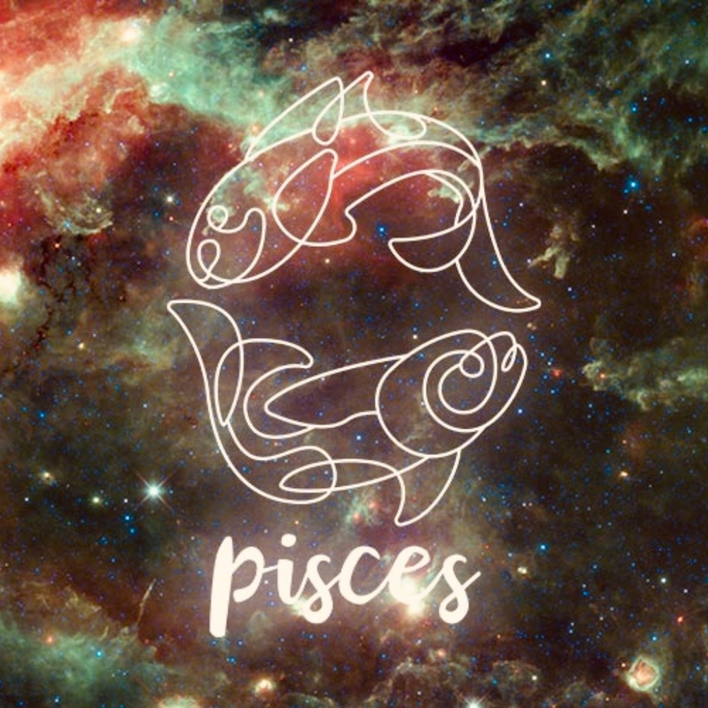 Meet your Posher, Maximiliano